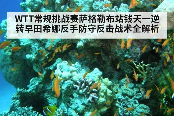 WTT常规挑战赛萨格勒布站钱天一逆转早田希娜反手防守反击战术全解析