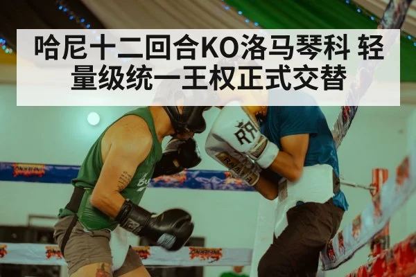哈尼十二回合KO洛马琴科 轻量级统一王权正式交替